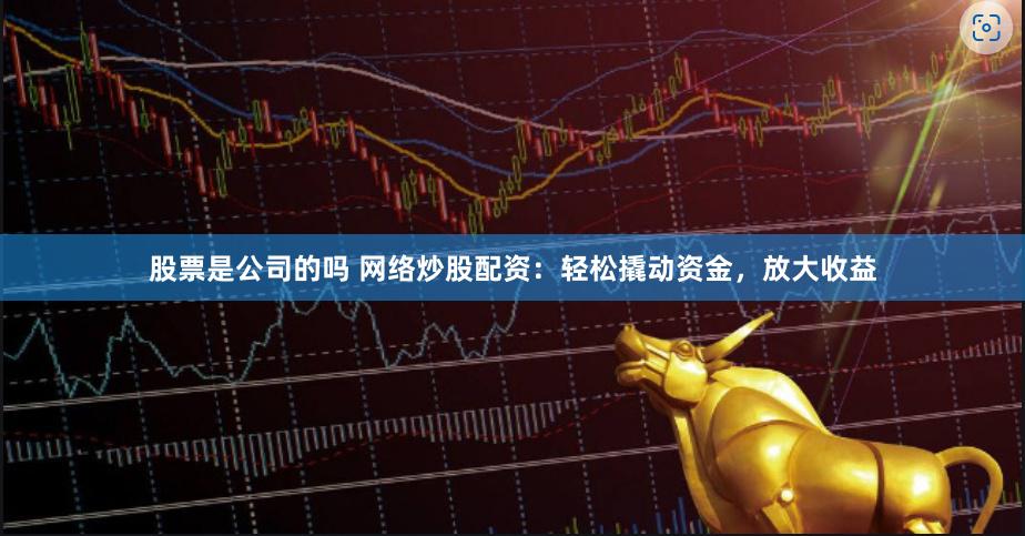 股票是公司的吗 网络炒股配资：轻松撬动资金，放大收益