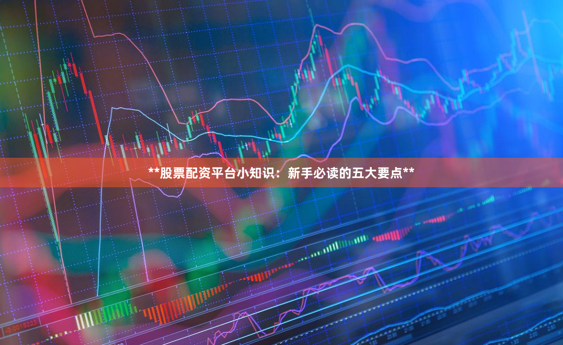 **股票配资平台小知识：新手必读的五大要点**